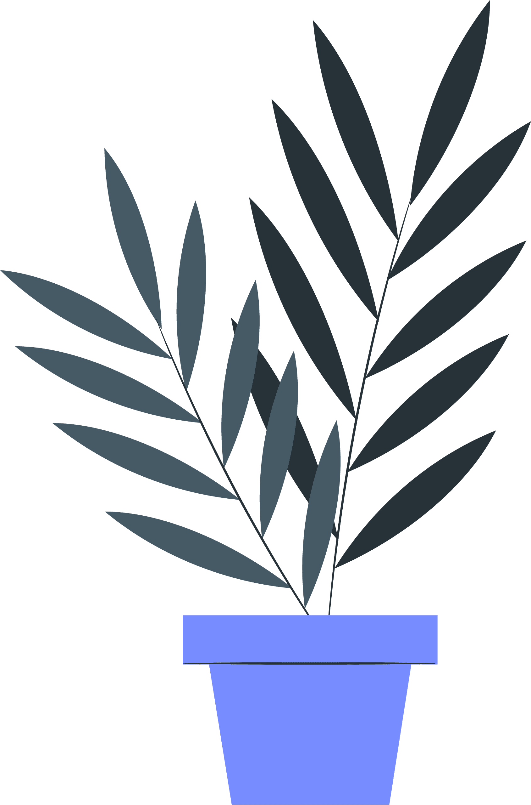 Illustration 4